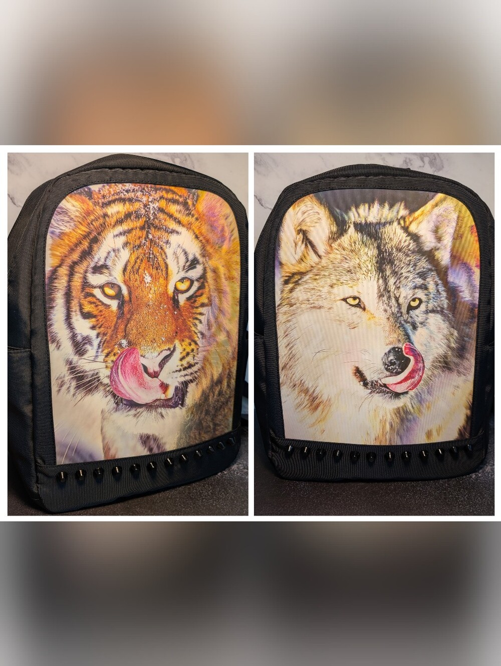 Picture Changing Holographic Back Pack